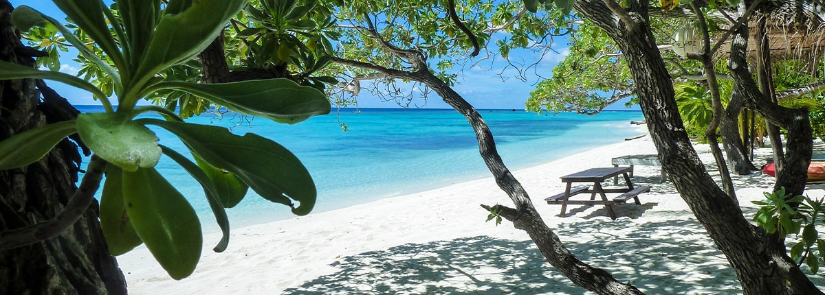 Beachside in the Conflict Islands, Papua New Guinea