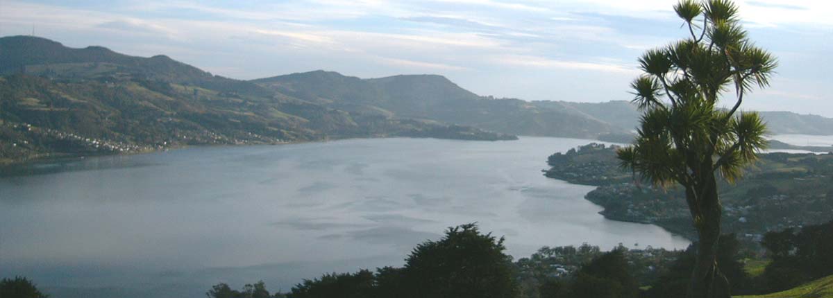 Dunedin (Port Chalmers), New Zealand