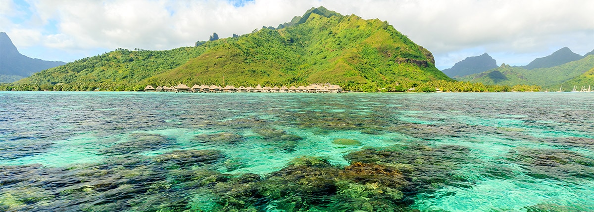 Beautiful reef in Papeete, French Polynesia