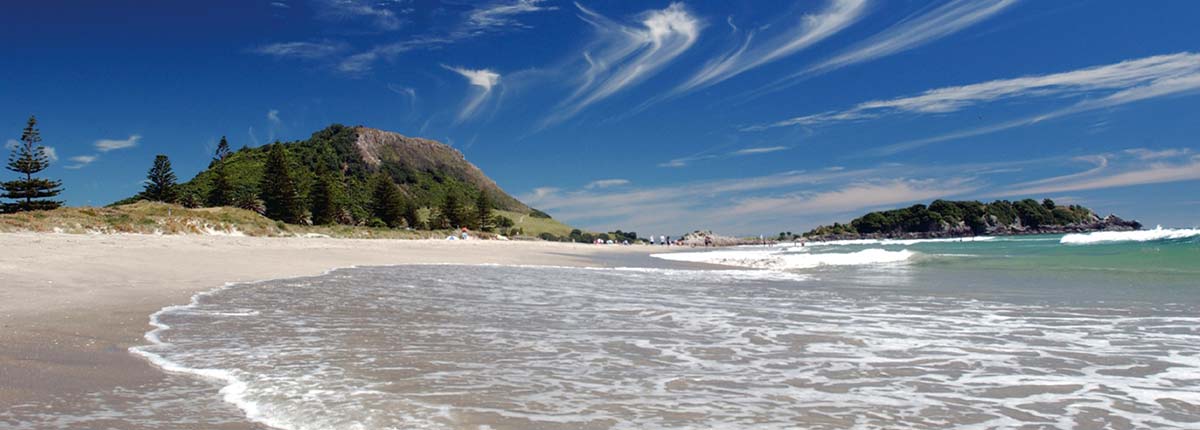 Beachside in Tauranga, New Zealand