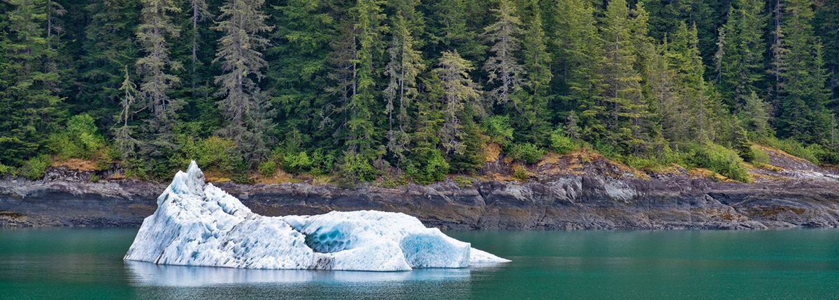 tall green trees along the coast line and iceberg 