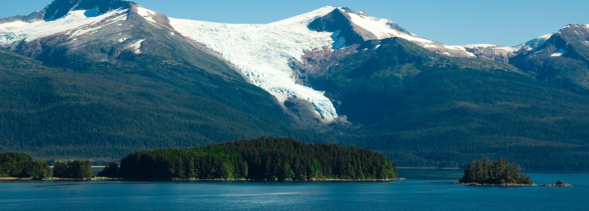 view of the trees and large mountains covered in snow