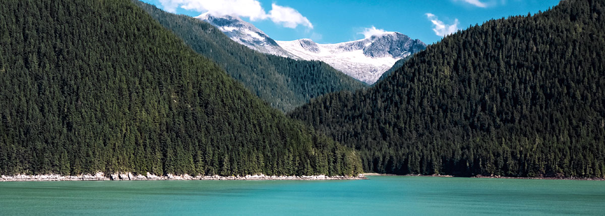 clear landscape of the kenai river