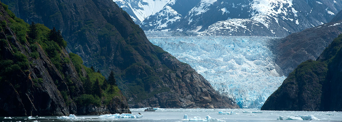 cruise around alaskan mountains of tracy arm fjord