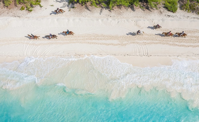 aerial view of guests on a horseback ride along the shore in half moon cay