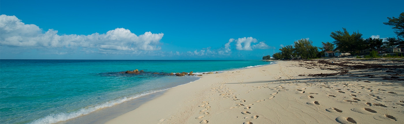 the turquoise waters of bimini in the bahamas