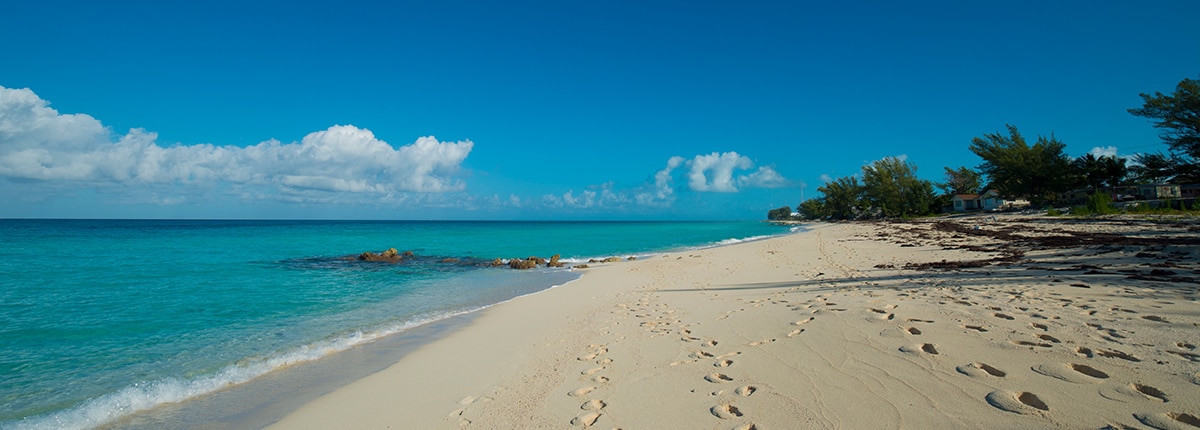 the sandy shores of bimini and the crystal blue ocean