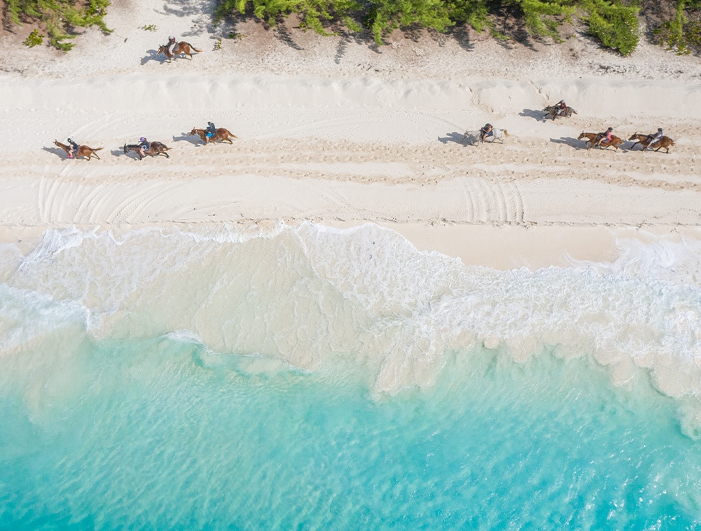 aerial view of guests on a horseback ride along the shore in half moon cay