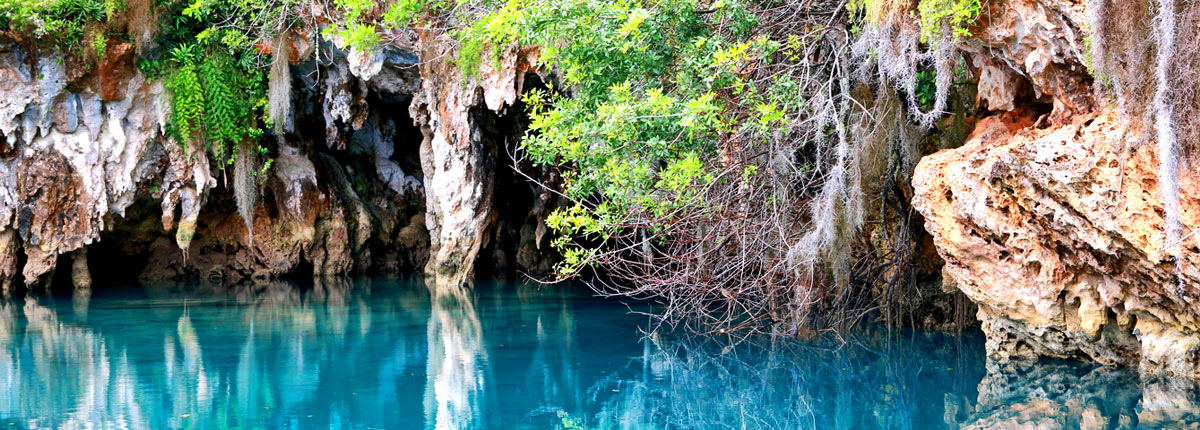 beautiful walshingham nature reserve in bermuda