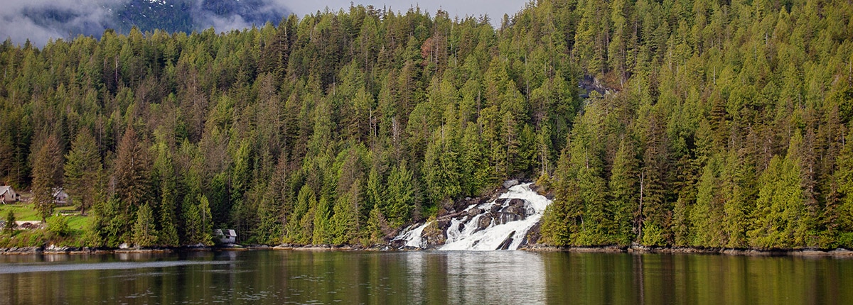 the bright green trees and lush waterfall in prince rupert, canada