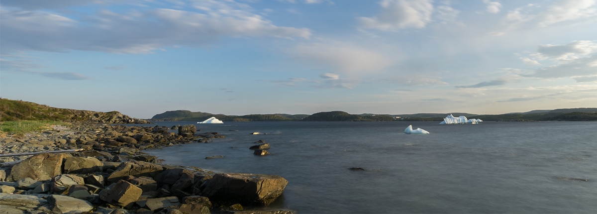 cove water views in st anthony, canada