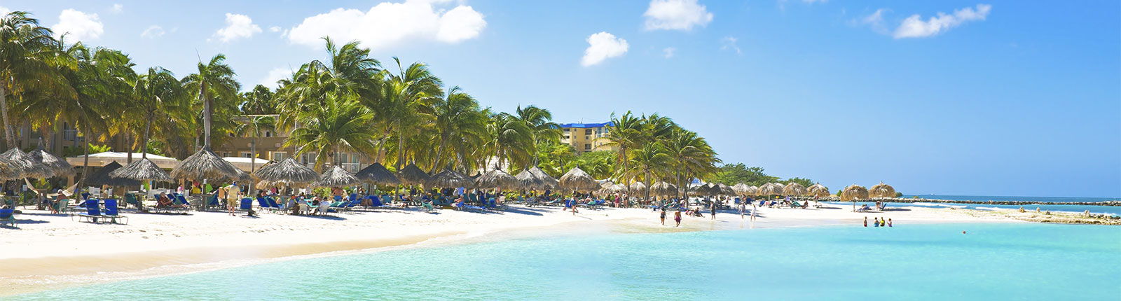 Picture taken while standing in bright blue water on a  white sand beach in Aruba