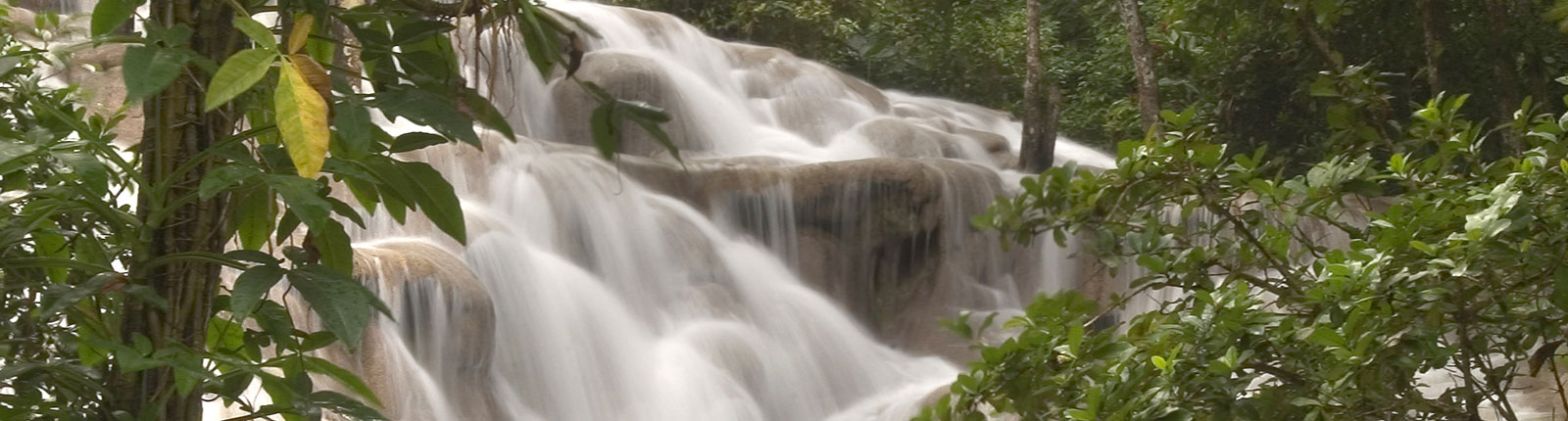 Gorgeous waterfall nestled in the jungle of Ocho Rios, Jamaica