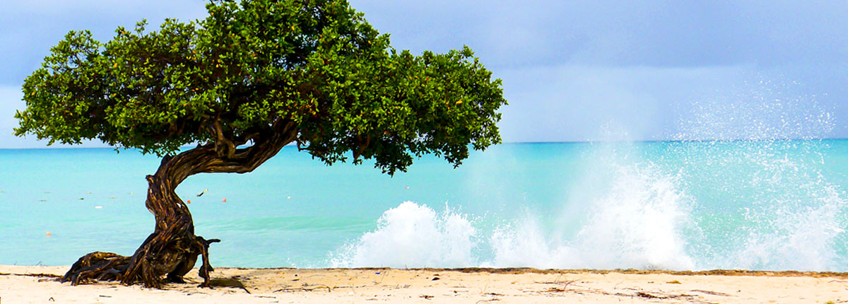 waves crashing along beach in aruba