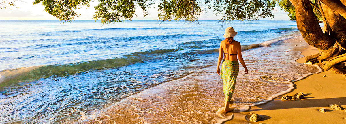 paynes bay in barbados