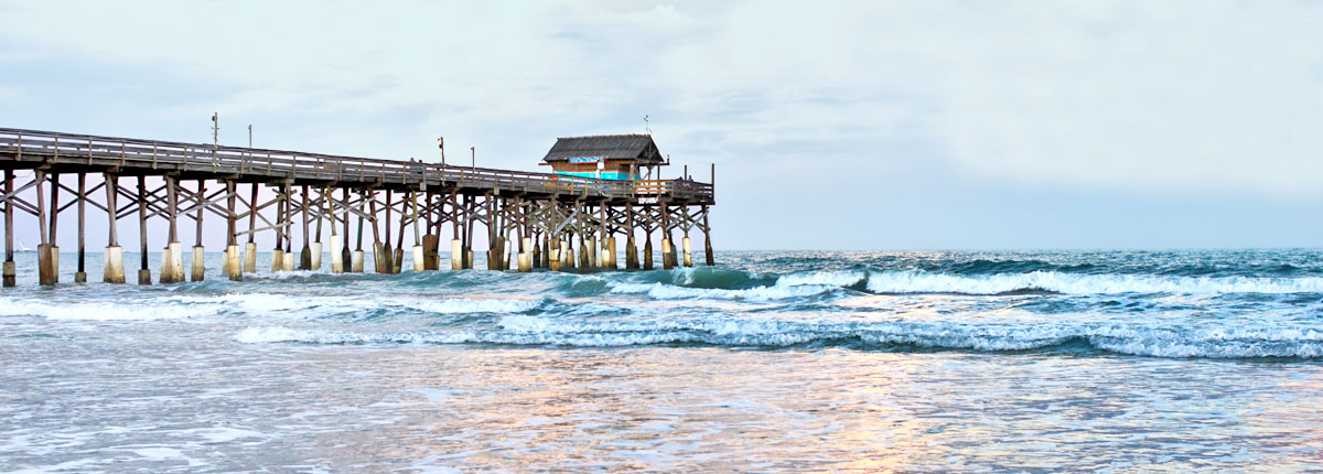 enjoy the beautiful landscape in port canaveral