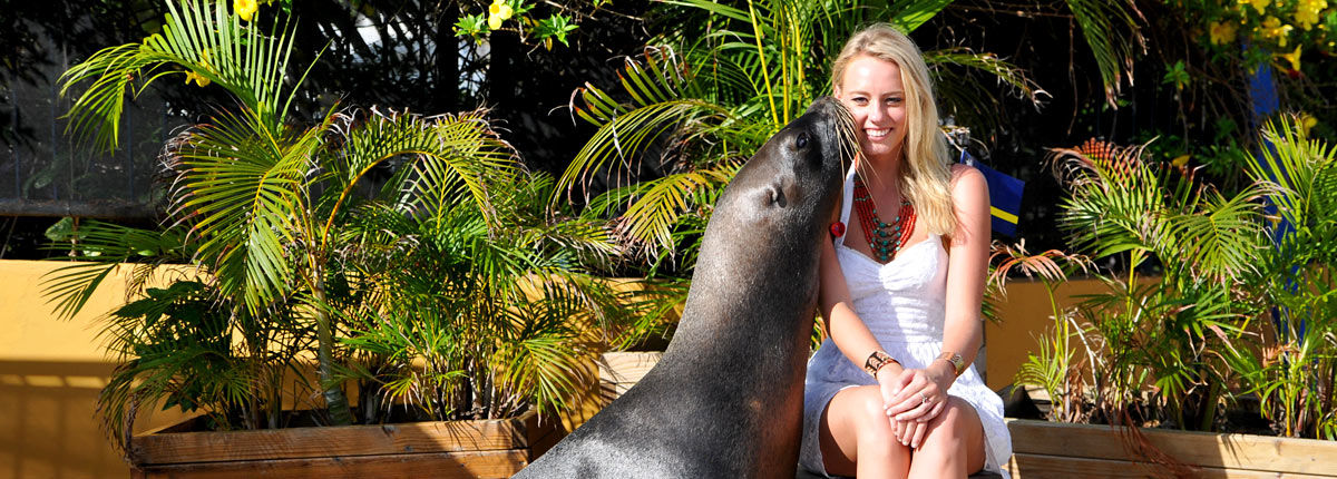 girl interacting with sea lion