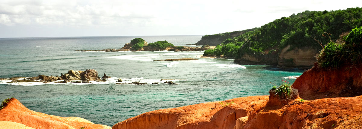 view the tree lined coast of dominica