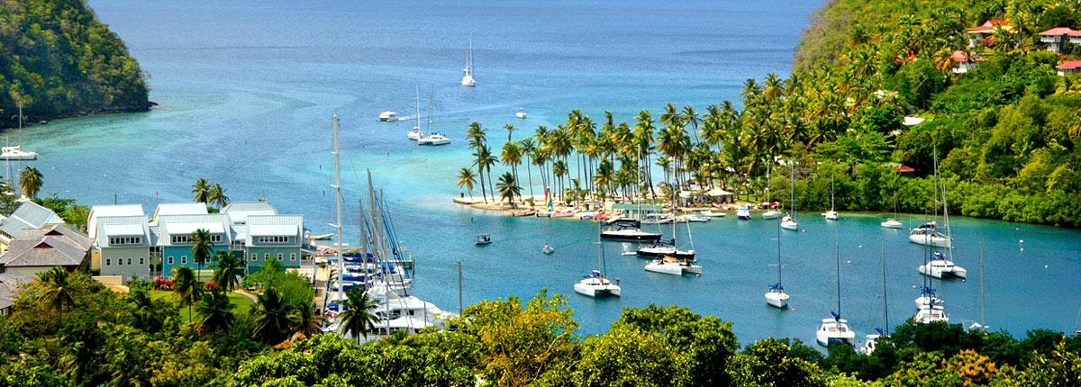 catamaran in the bay of st. lucia