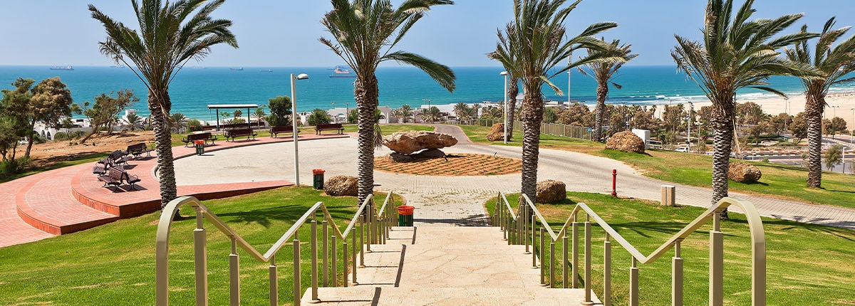 a flight of stairs leads towards palm trees and a beach