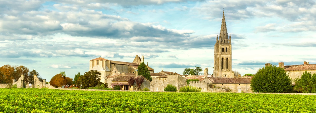 view of vineyards of saint emilion bordeaux vineyards in France