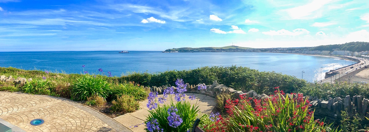 vibrant flowers kiss the clear blue ocean off the coast of douglas