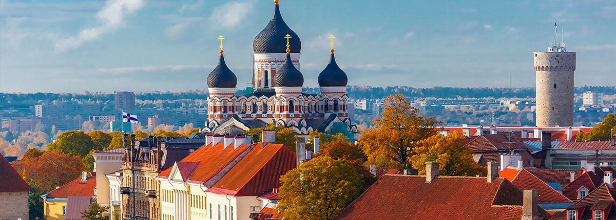 a colorful decorated castle embraces the beautiful skyline