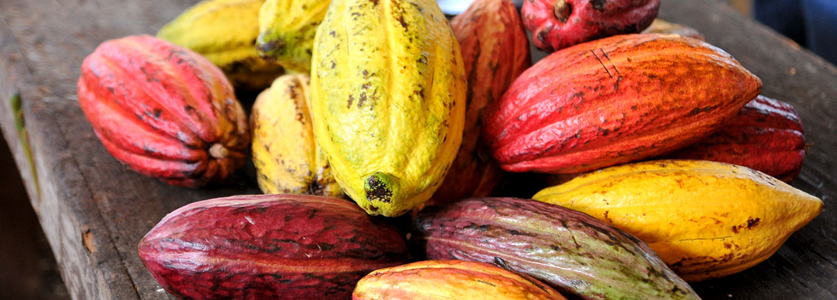 colorful hawaiian kona fruits