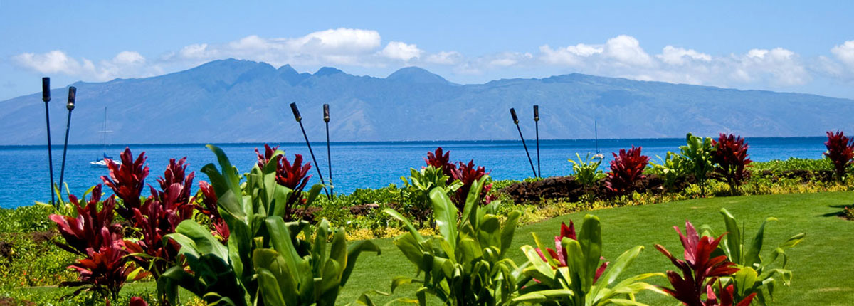 maui landscape with mountains in the distance