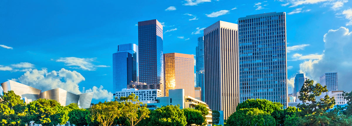 view of the downtown los angeles skyline