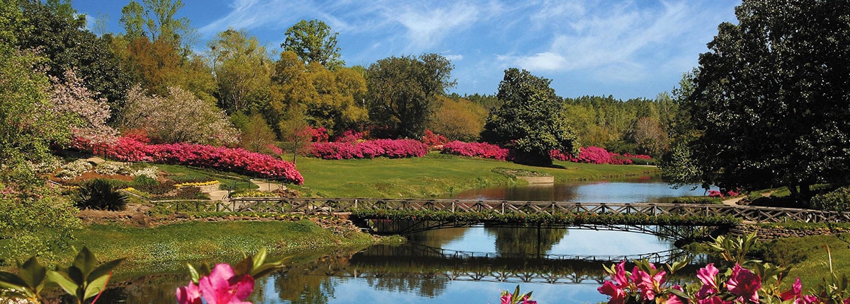 Bellingrath Mirror Lake in Mobile Alabama