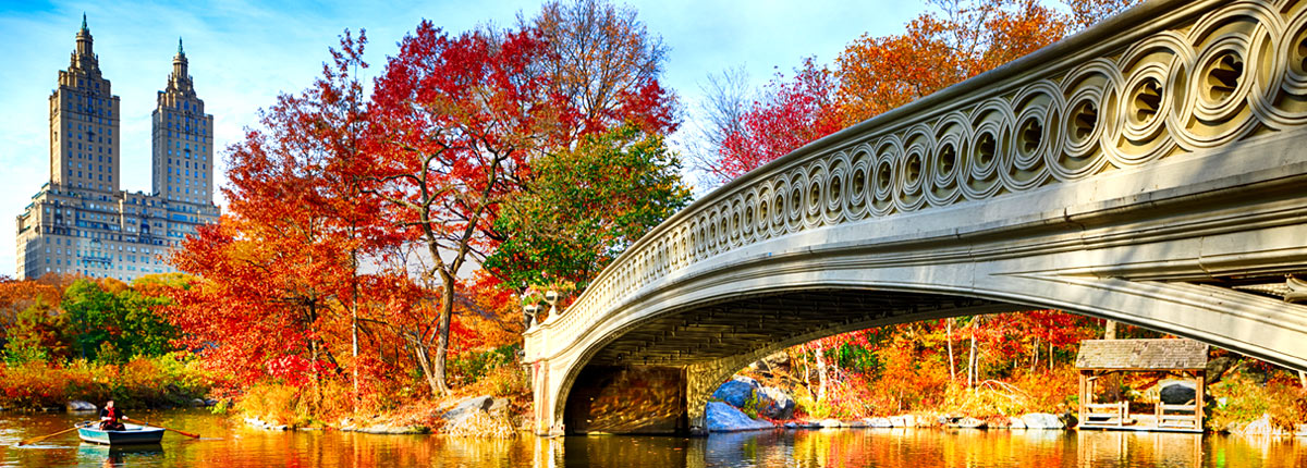 take a walk through the beautiful central park