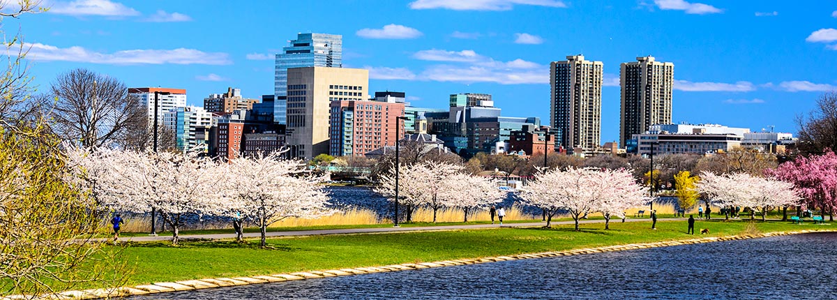 enjoy the waterfront views of the boston cityscape