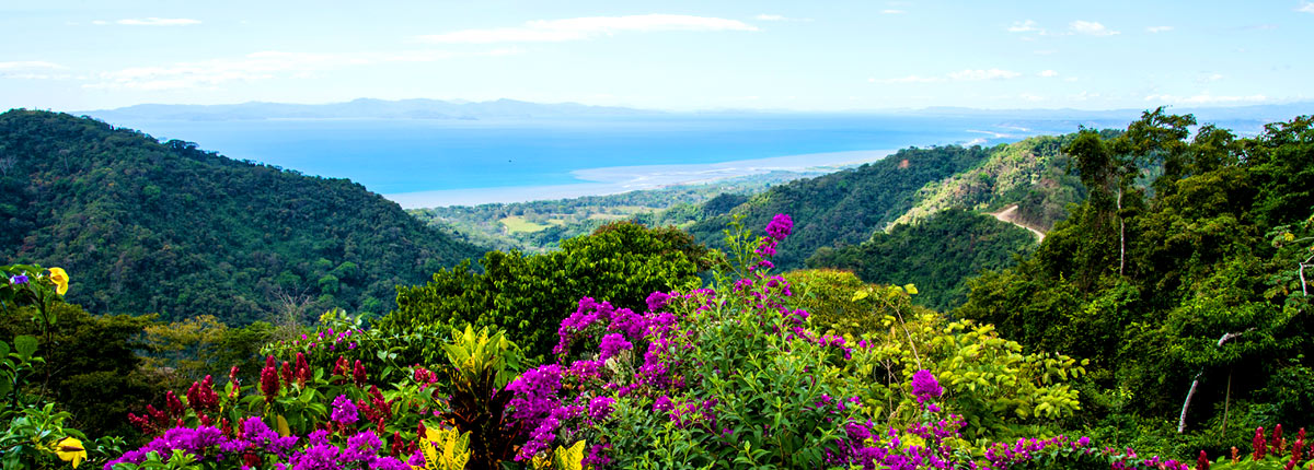 beautiful hilltop view of the coast of puntarenas