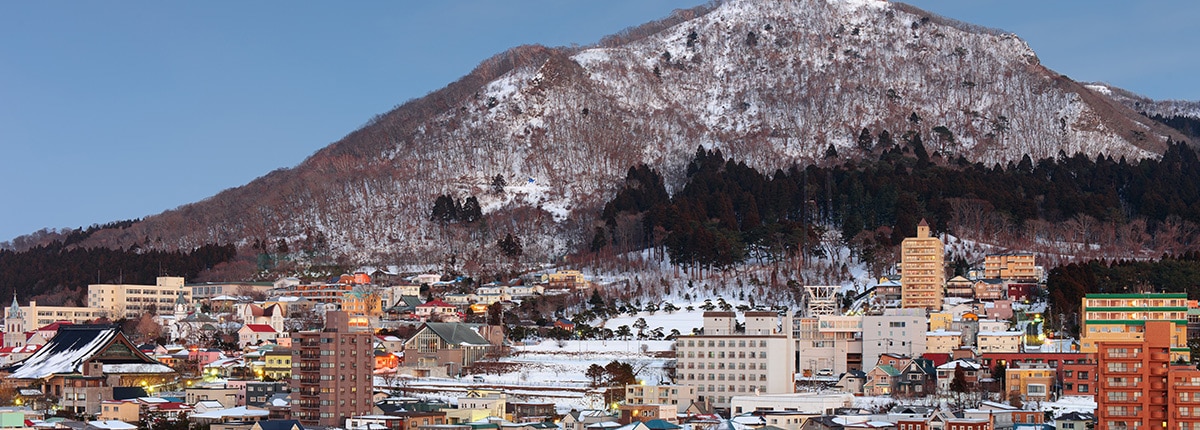 view of mt. hakodate skyline with buildings below