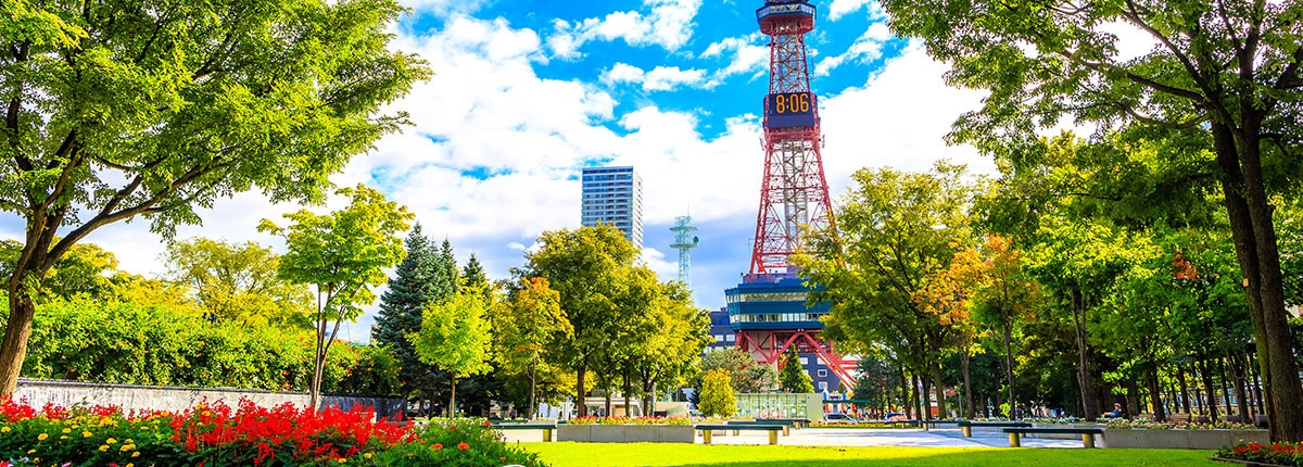 sapporo tv tower overlooking Odori Park