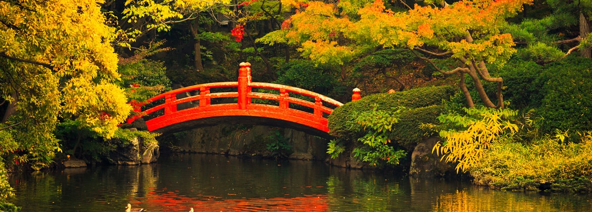 beautiful view of a park in tokyo, japan