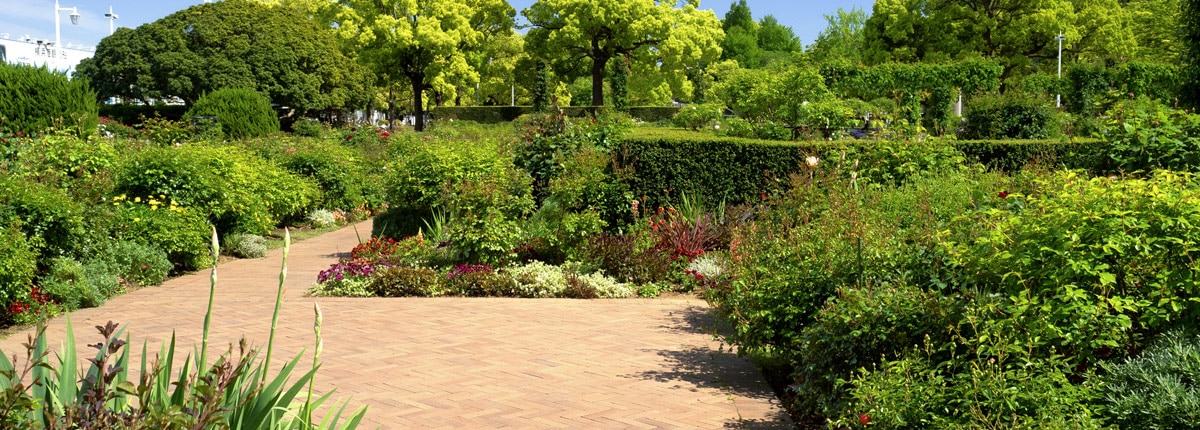 beautiful view of a garden in yamashita park in yokohama, japan 